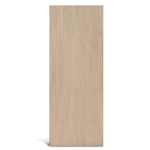 Teak Flush Panel Door
